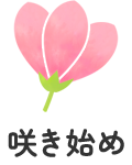 咲き始め
