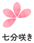 七分咲き