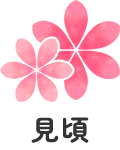 見頃