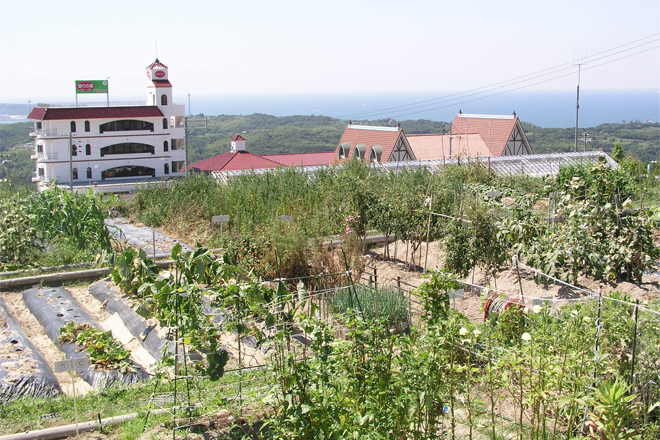 市民農園