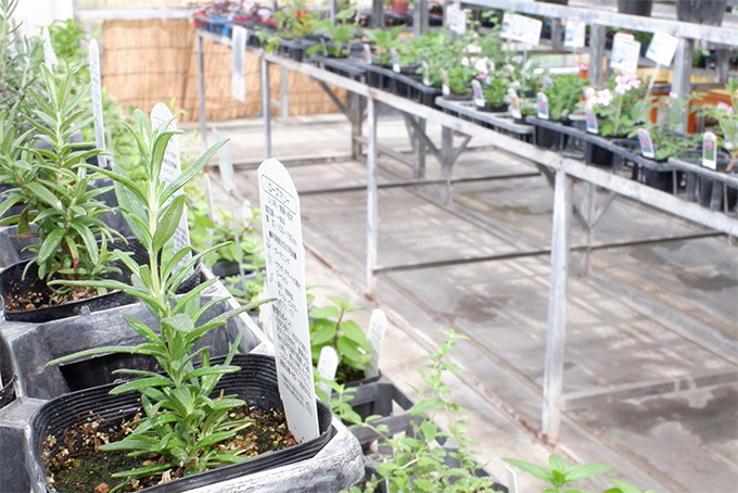 Herb Shop