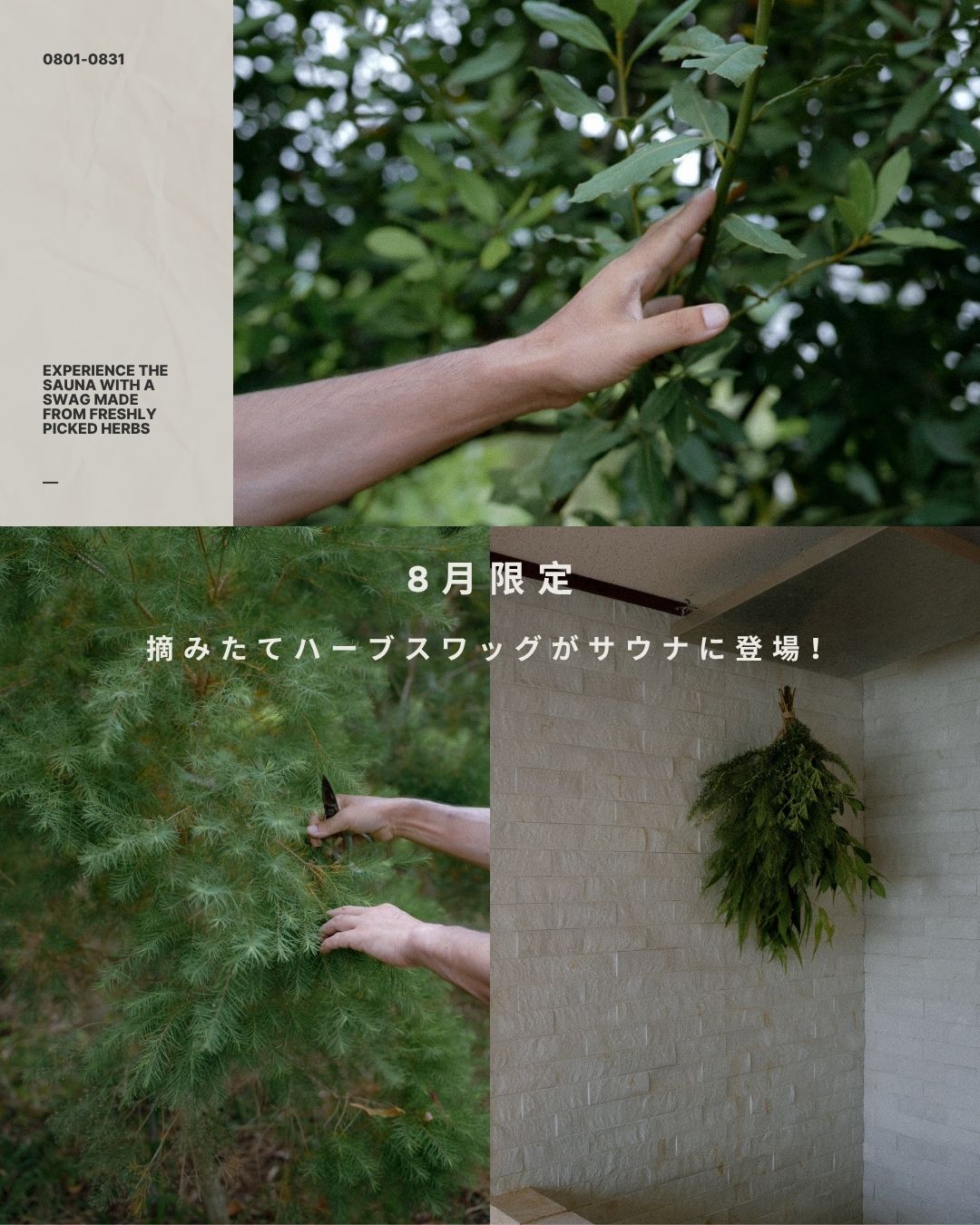 体験