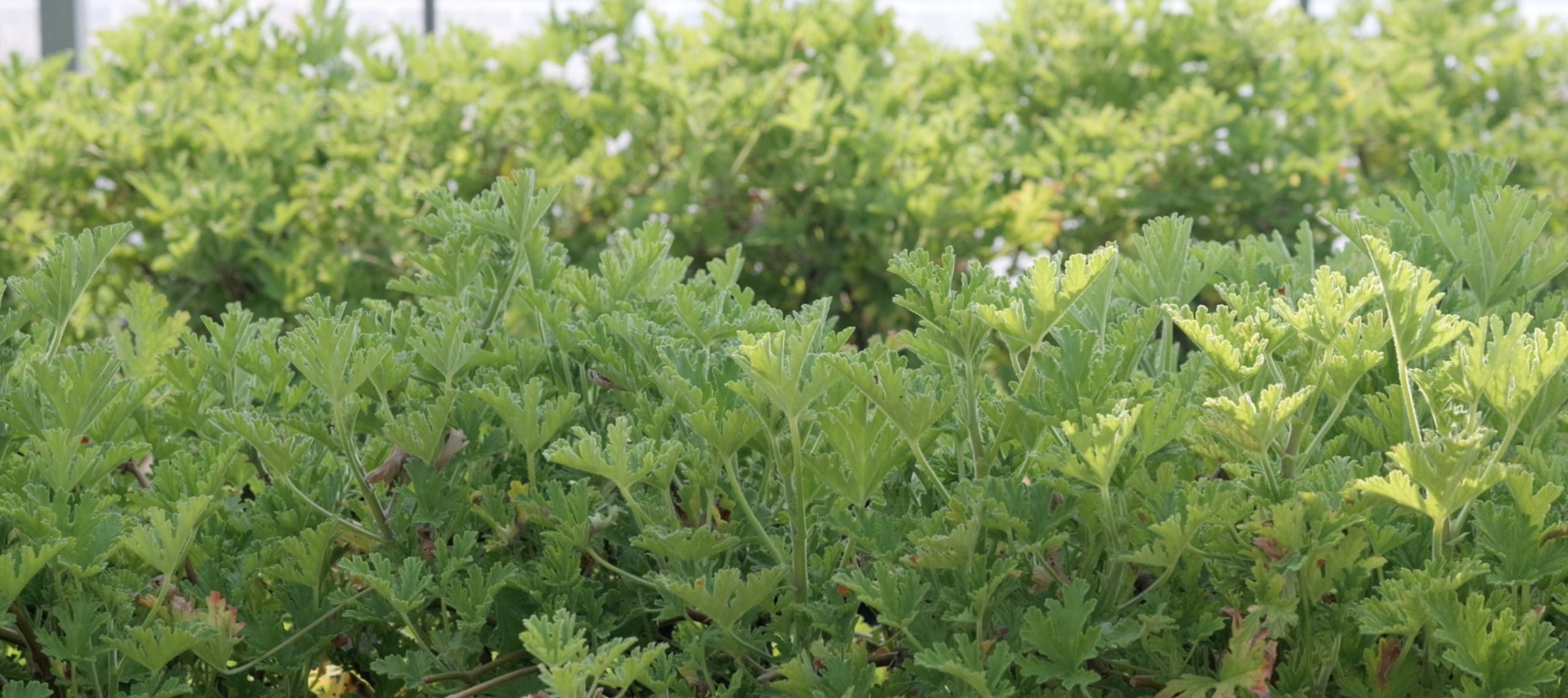 12月9日、12月10日は休館日です
