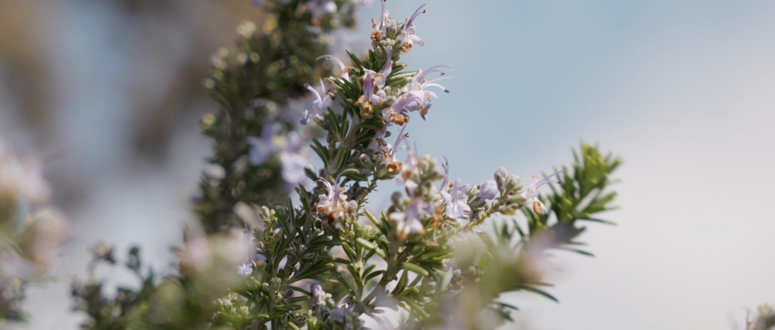 3月10日は休館日です