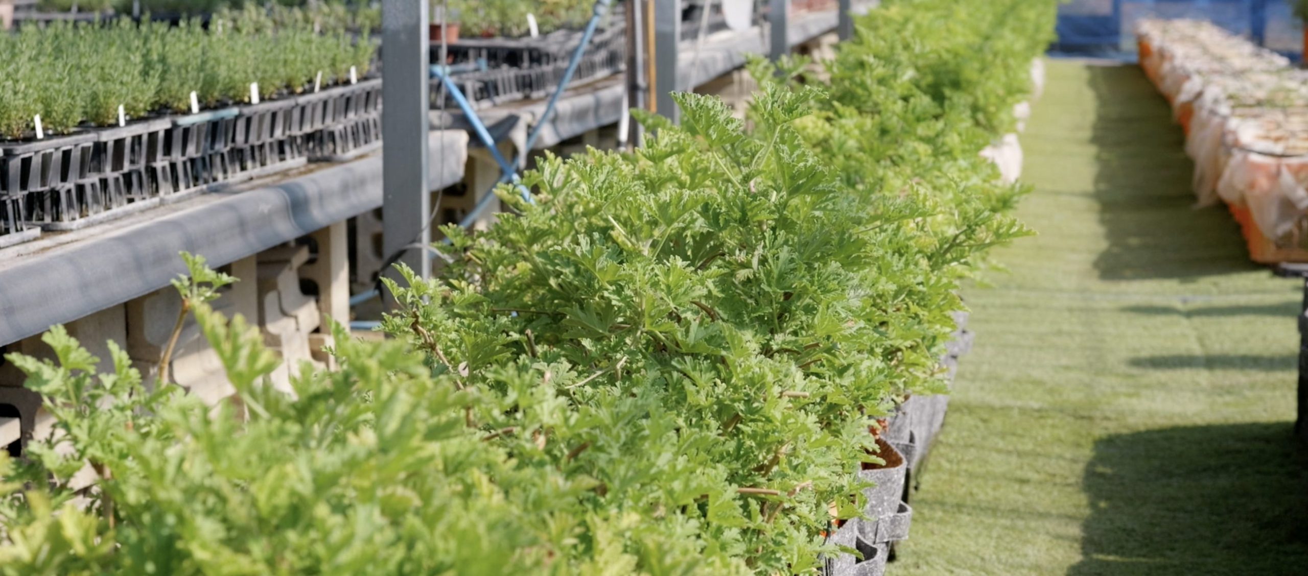 2月3日、2月4日は休館日です